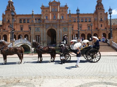 Sevilla Plaza de Espana  2025