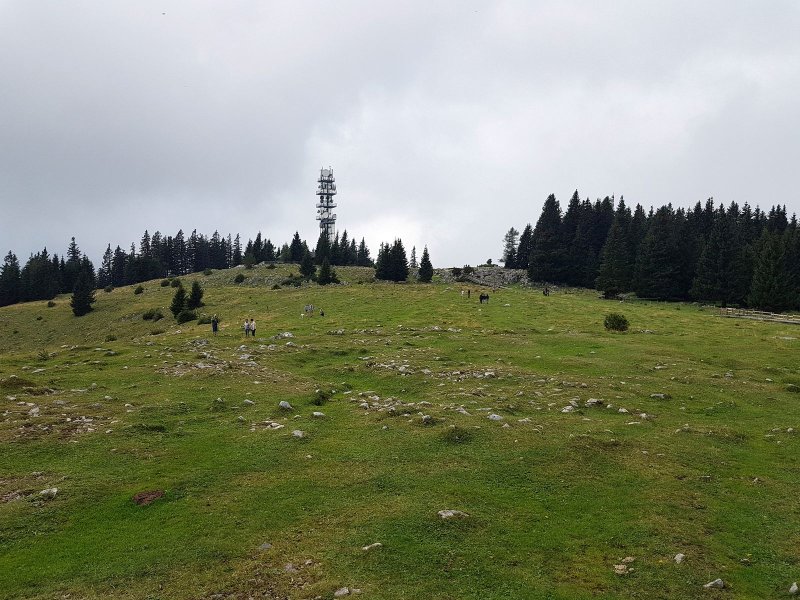 Berg Rax