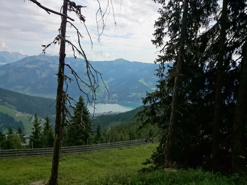 Berg Schmitten
