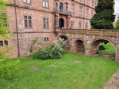 Schloss Aschaffenburg - Aussen - 2024