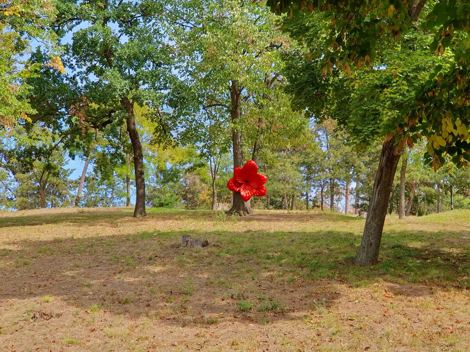 Parcul Nicolae Romanescu 2024