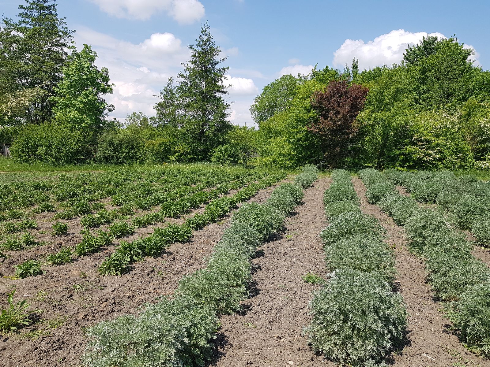 Freilichtmuseum Bad Windsheim