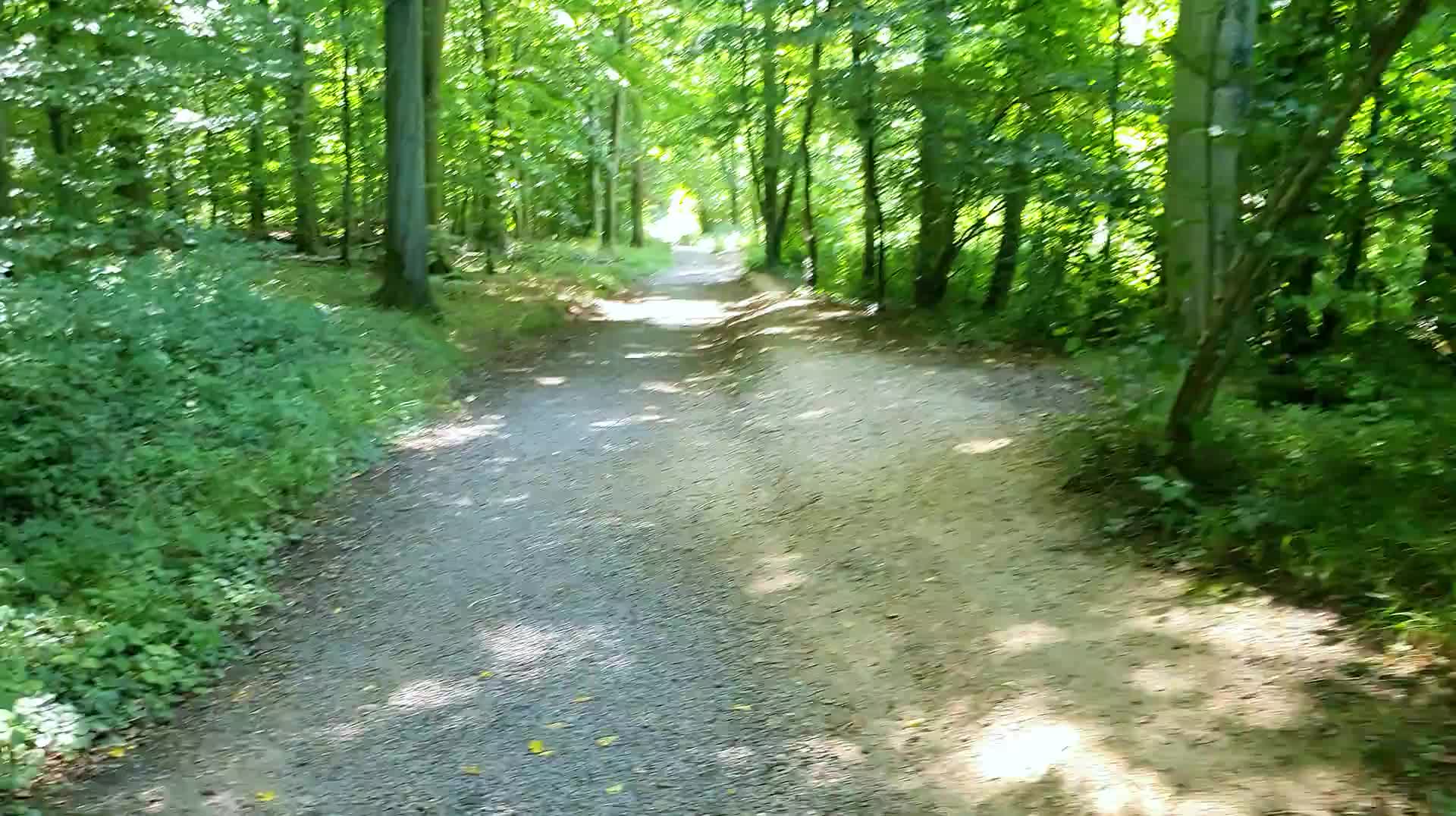 Video Burg Eltz - 2025