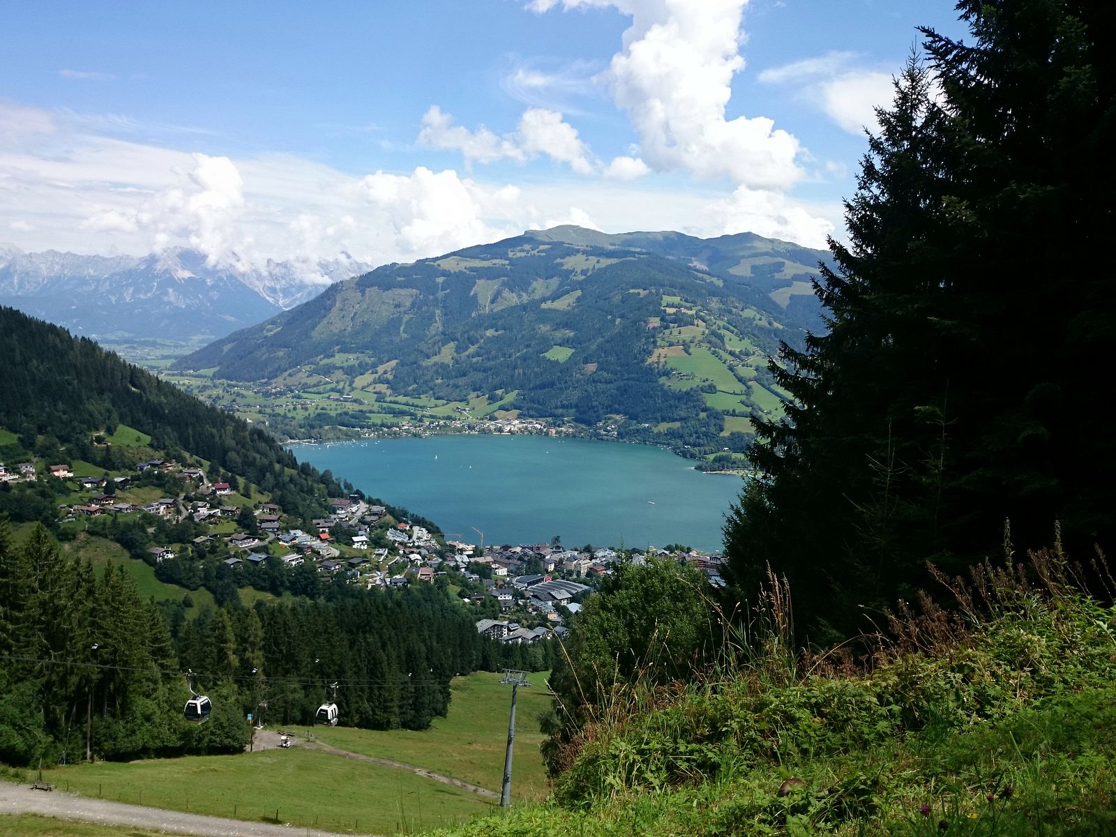 Berg_Schmitten_bei_Zell_am_See_21.jpg