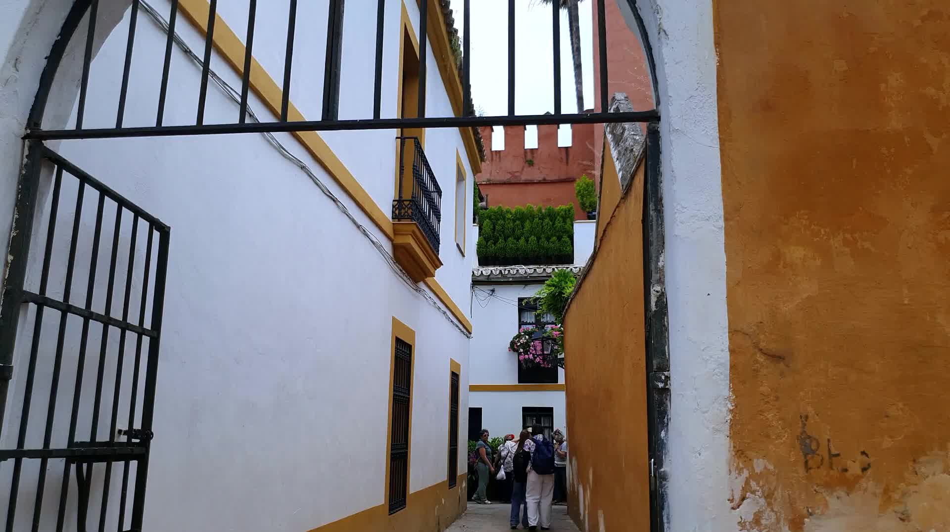 VID_20250506_161653.mp4